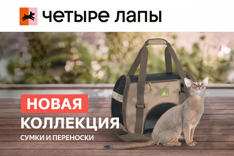 Новая коллекция сумок