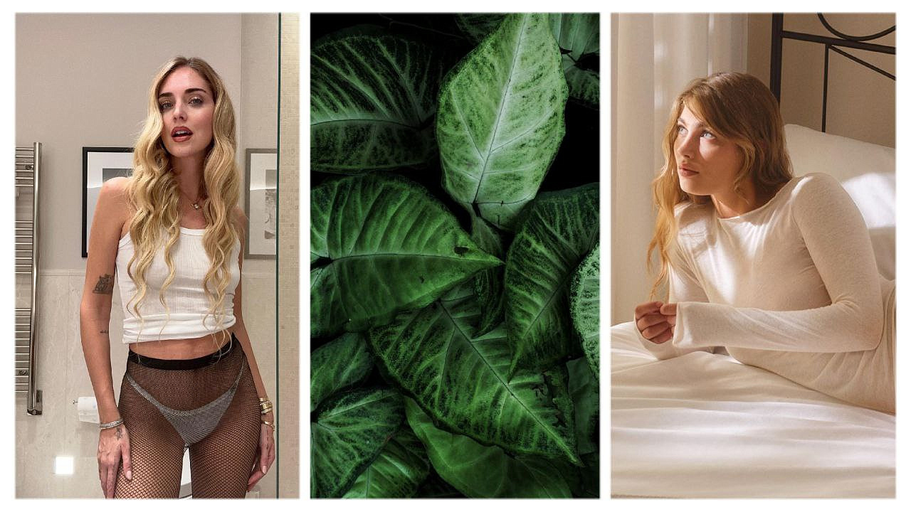 Средства от продажи экоупаковки Intimissimi идут на восстановление лесов на планете.